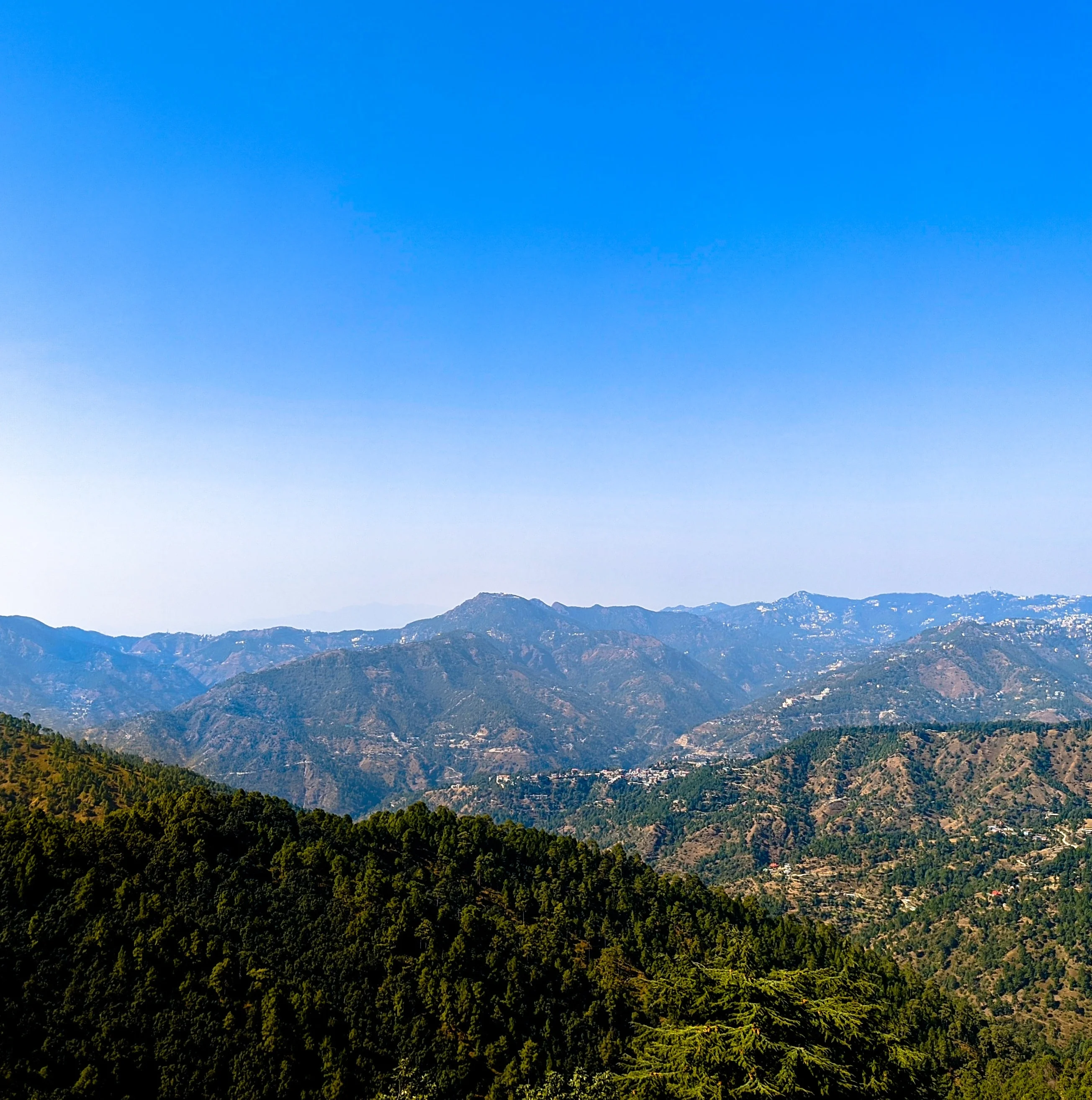 chail,  From  Chandigarh    Tour Packages